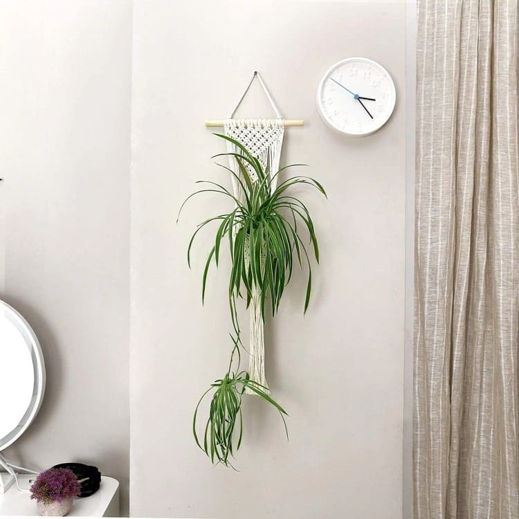 Porte plante mural en macramé