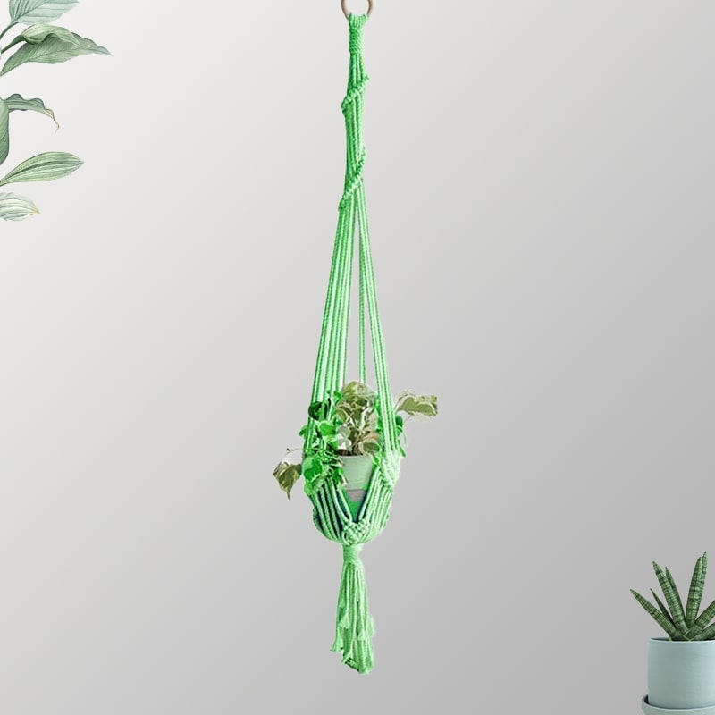 Suspension couleur plante macramé vert