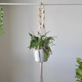 White Rope Plant Hanger | Handmade Cotton Rope